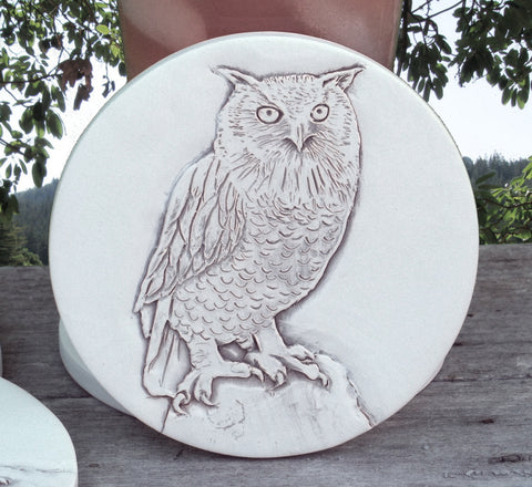 Owl Drink Coasters