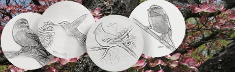 Assorted Birds Drink Coasters